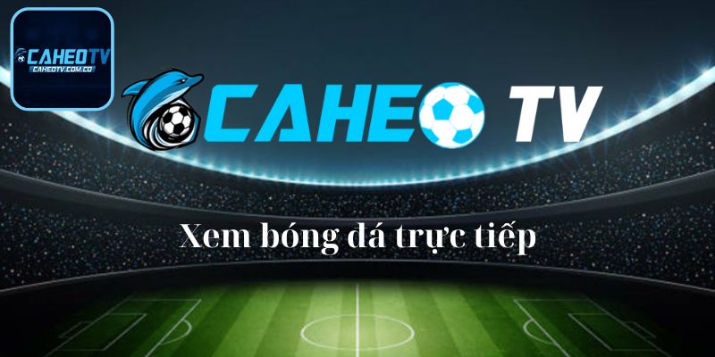 Thông tin khái quát về trang bóng đá trực tuyến Caheotv